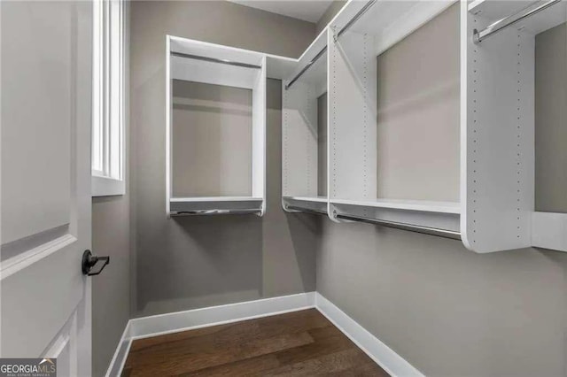 walk in closet with dark wood-style floors