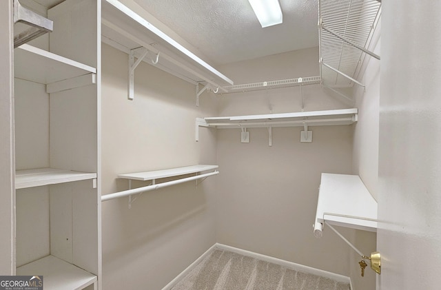 2929 Torreya Way SE, Marietta, GA 30067 - spacious closet featuring carpet floors