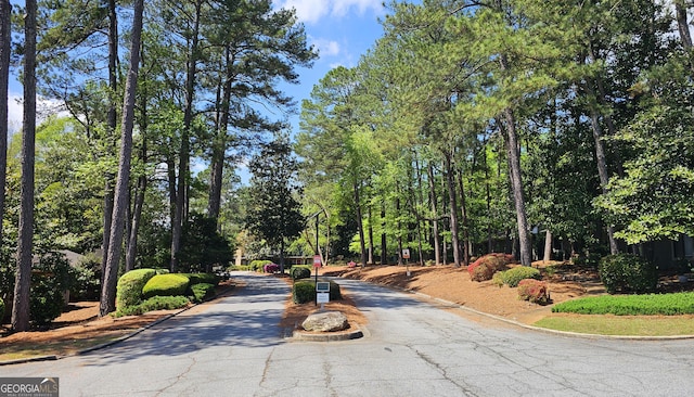 2929 Torreya Way SE, Marietta, GA 30067 - view of asphalt street with curbs