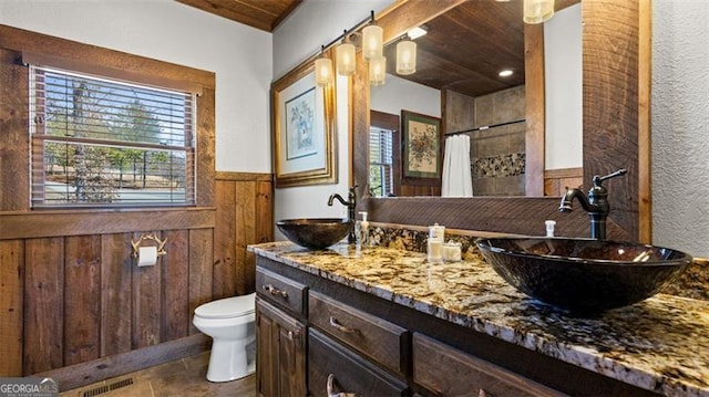 68 Shalom Vw, Blue Ridge, GA 30513 - full bathroom featuring wainscoting, healthy amount of natural light, vanity, toilet, and wooden walls