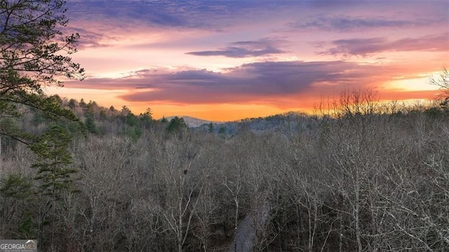 68 Shalom Vw, Blue Ridge, GA 30513 - mountain view with a heavily wooded area