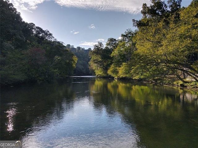 68 Shalom Vw, Blue Ridge, GA 30513 - water view with a forest
