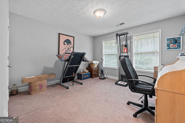 575 Chuli Rd, Locust Grove, GA 30248 - office space featuring a textured ceiling and carpet floors