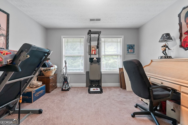 575 Chuli Rd, Locust Grove, GA 30248 - home office featuring a textured ceiling and carpet floors