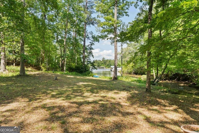 138 Forest Hill Dr, Eatonton, GA 31024 - view of yard