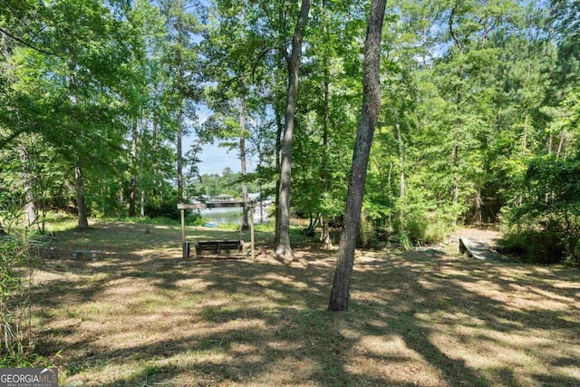 138 Forest Hill Dr, Eatonton, GA 31024 - view of yard