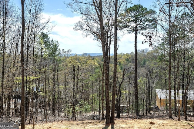 view of local wilderness featuring a wooded view