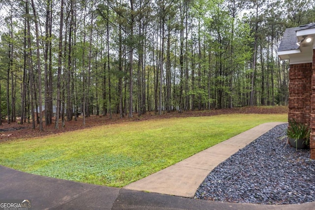 view of yard