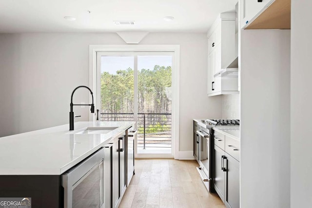 kitchen with stainless steel appliances, a sink, plenty of natural light, light wood-type flooring, and recessed lighting
