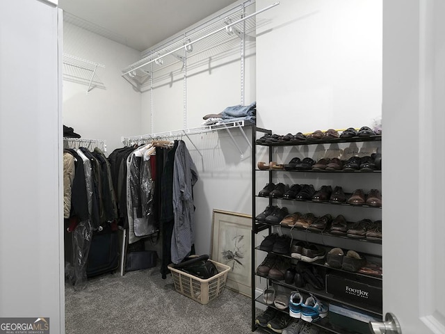 4845 Josie Way NW, Acworth, GA 30101 - walk in closet with carpet floors