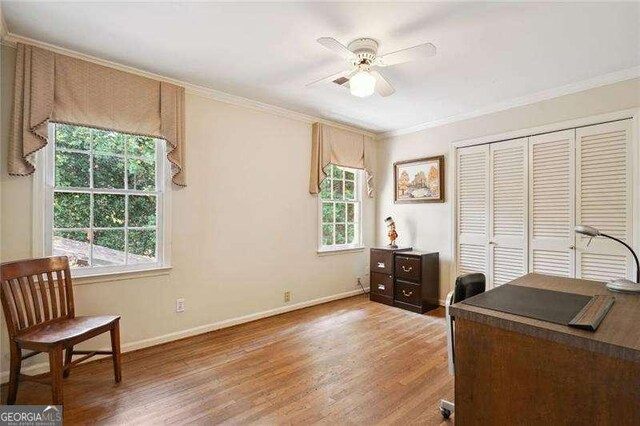 office area featuring light wood finished floors, a wealth of natural light, ornamental molding, and a ceiling fan