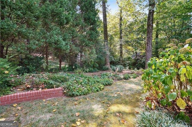 view of yard featuring a wooded view