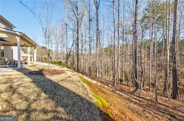 4870 Odum View Ln, Cumming, GA 30040 - view of yard featuring a patio area and ceiling fan