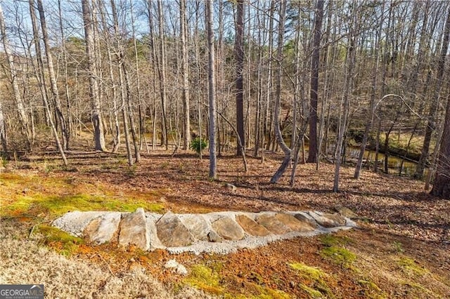 4870 Odum View Ln, Cumming, GA 30040 - view of yard