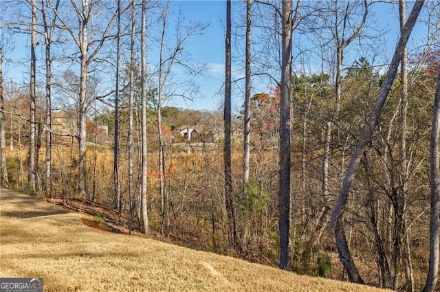 4870 Odum View Ln, Cumming, GA 30040 - view of yard