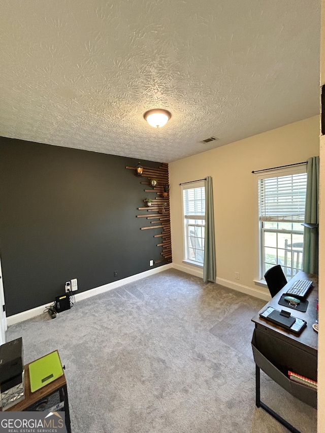 924 Morningside Dr, Griffin, GA 30224 - office space with a textured ceiling, baseboards, and carpet flooring