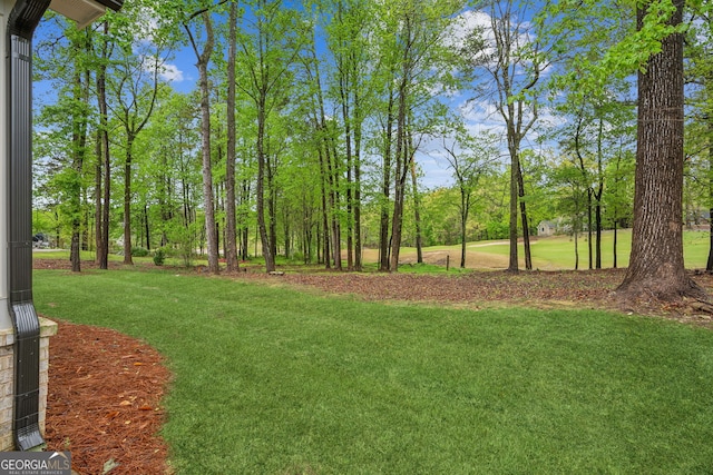4426 Oxburgh Park, Flowery Branch, GA 30542 - view of green lawn