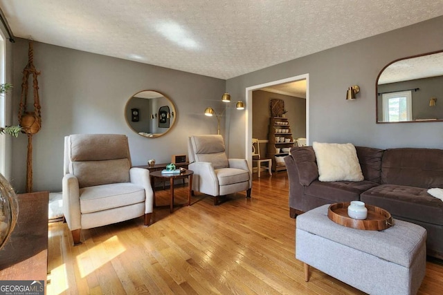 4295 S Berkeley Lake Rd NW, Berkeley Lake, GA 30096 - living room featuring light wood-style floors and a textured ceiling