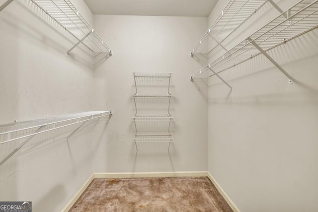 walk in closet featuring carpet