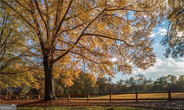9415 Martin Rd, Roswell, GA 30076 - view of yard