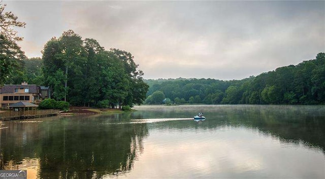 9415 Martin Rd, Roswell, GA 30076 - water view featuring a forest