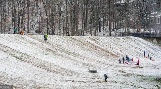 9415 Martin Rd, Roswell, GA 30076 - view of yard covered in snow