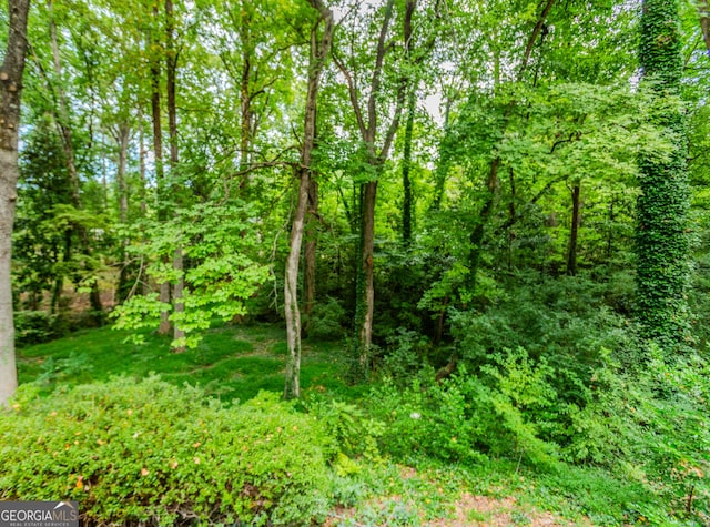 247 Old Timber Rd, Lawrenceville, GA 30046 - view of landscape with a forest view