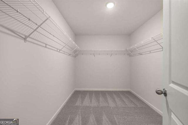 spacious closet with carpet floors