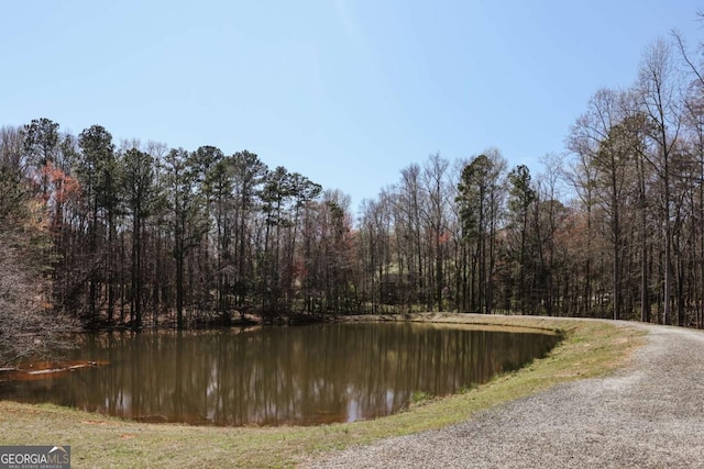 3065 Meadow Springs Dr, Watkinsville, GA 30677 - water view featuring a heavily wooded area