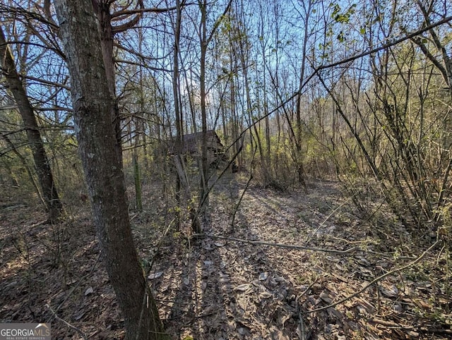 0 Ridgeway Rd, Trion, GA 30753