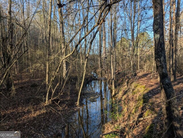 0 Ridgeway Rd, Trion, GA 30753