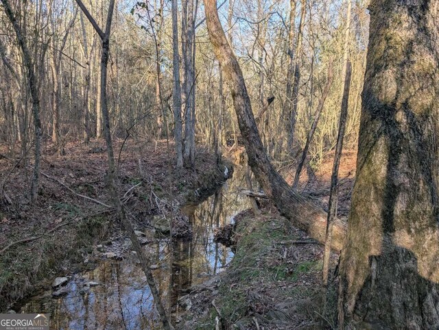 0 Ridgeway Rd, Trion, GA 30753