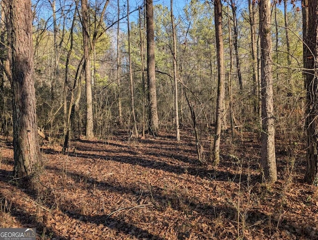 0 Ridgeway Rd, Trion, GA 30753