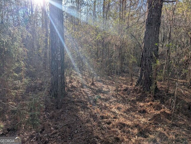 0 Ridgeway Rd, Trion, GA 30753