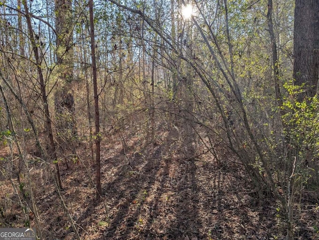0 Ridgeway Rd, Trion, GA 30753