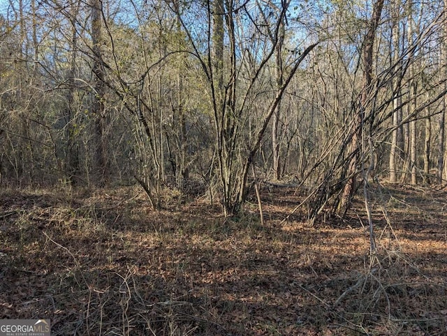 0 Ridgeway Rd, Trion, GA 30753