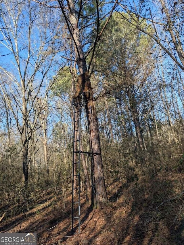 0 Ridgeway Rd, Trion, GA 30753
