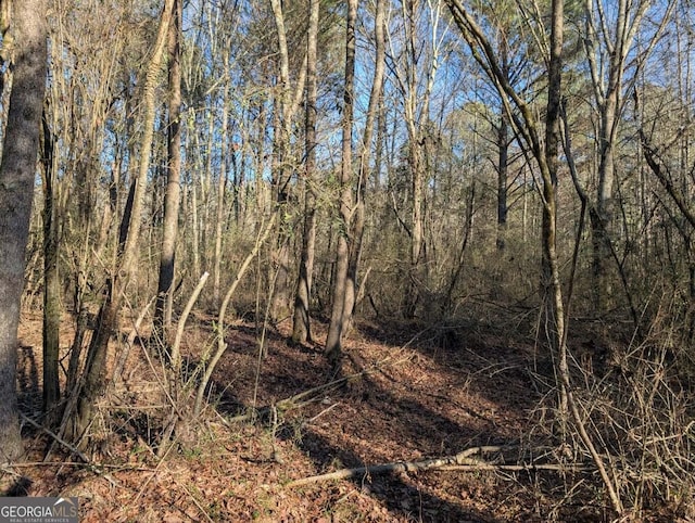 0 Ridgeway Rd, Trion, GA 30753