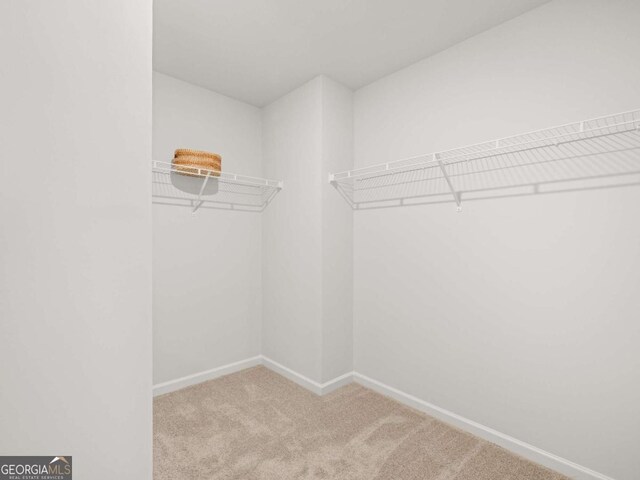 walk in closet featuring carpet