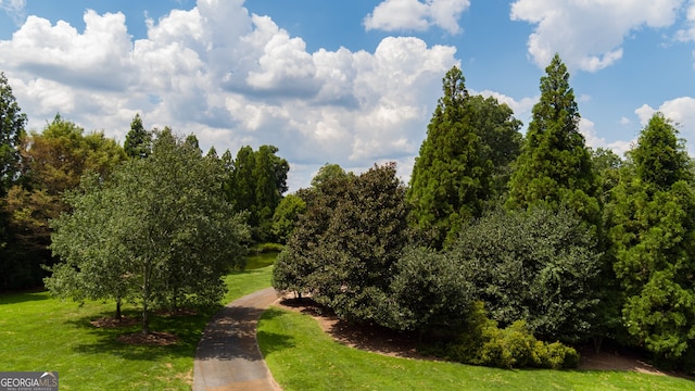 2100 W Wesley Rd, Atlanta, GA 30327 - view of community featuring a yard
