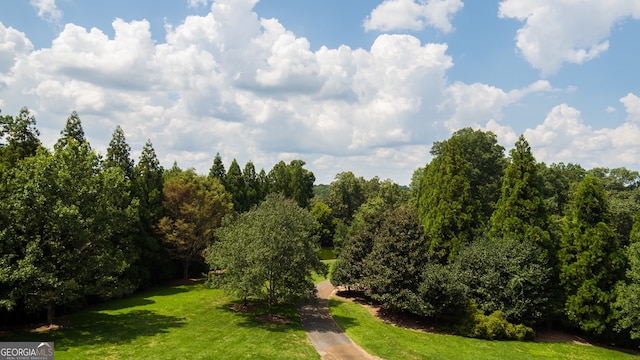 2100 W Wesley Rd, Atlanta, GA 30327 - view of green lawn featuring a view of trees