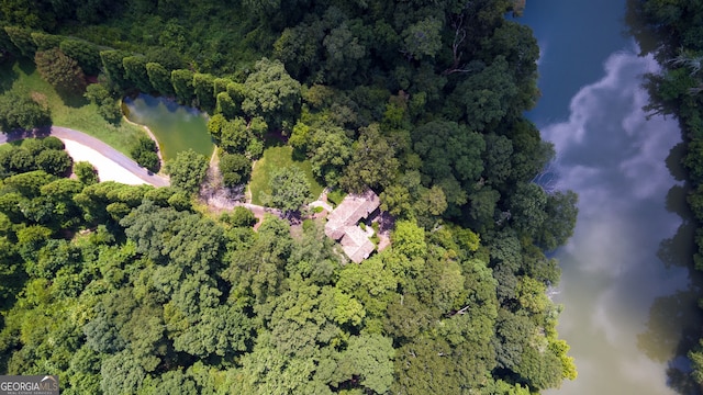 2100 W Wesley Rd, Atlanta, GA 30327 - aerial view of property and surrounding area with a forest and a nearby body of water