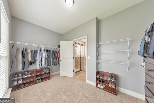 64 Durana Way, Dallas, GA 30132 - spacious closet featuring carpet floors and lofted ceiling