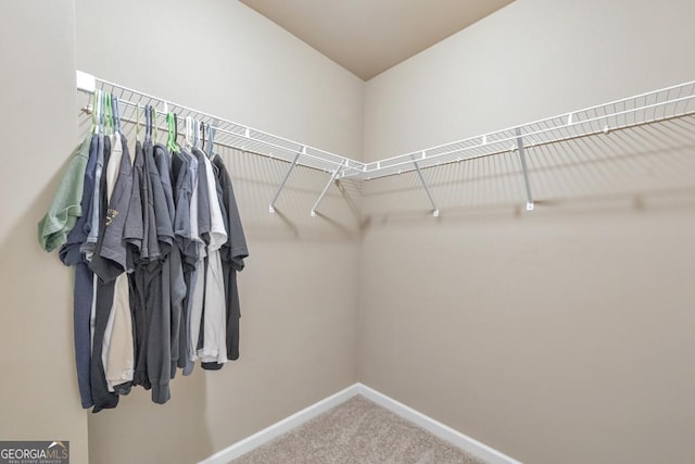 64 Durana Way, Dallas, GA 30132 - spacious closet with carpet floors