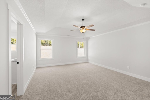 445 Liberty Hill Rd Unit 22, Hartwell, GA 30643 - spare room featuring a raised ceiling, light carpet, a textured ceiling, ceiling fan, and ornamental molding
