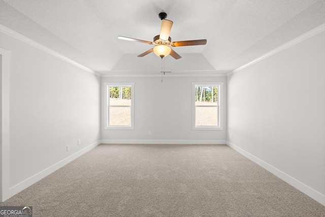 445 Liberty Hill Rd Unit 22, Hartwell, GA 30643 - carpeted empty room with a tray ceiling, baseboards, ceiling fan, and ornamental molding