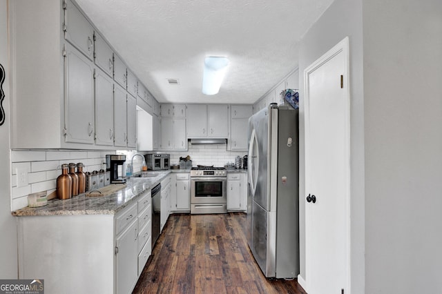 kitchen featuring appliances with stainless steel finishes, a sink, tasteful backsplash, dark wood-style floors, and under cabinet range hood