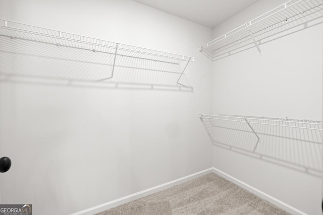 387 Liberty Hill Rd Unit 20, Hartwell, GA 30643 - spacious closet with carpet flooring