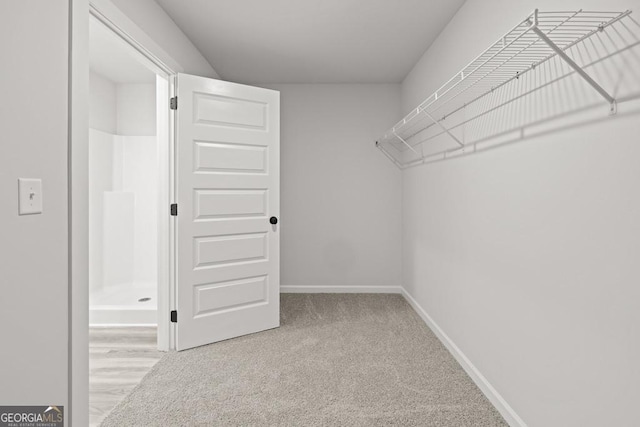 357 Liberty Hill Rd Unit 18, Hartwell, GA 30643 - walk in closet featuring carpet floors