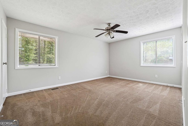 1360 Cypress Ridge Cir, Stone Mountain, GA 30083 - carpeted spare room featuring plenty of natural light, a textured ceiling, baseboards, and visible vents